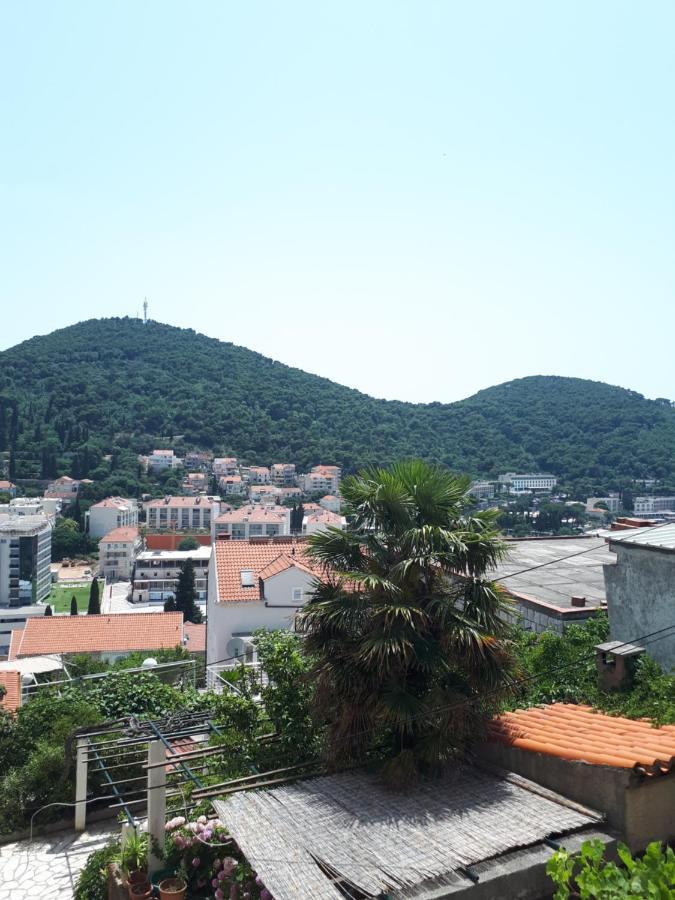 Apartamento Maja *